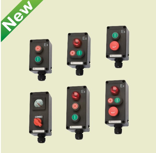 Shanghai Huarong Technology Explosion-proof and anti-corrosion master controller BZA8050-A1