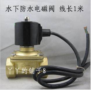 Underwater solenoid valve water valve DN50 running spring fountain with valve 2 inch waterproof valve 220V quality assurance