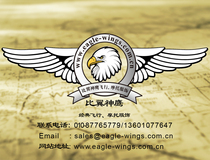 Special for deposit payment (according to the actual amount of the auction)