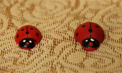 zakka grocery Seven-star worm Cute mini gardening creative shooting props Birthday gift fleshy ornaments