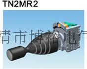 TEND Taiwan Tiande brand rocker switch cross master order TN2MR-2R two-way self-reset 22mm