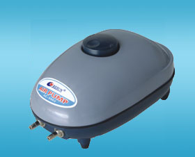 Corporate Shop Day Birth Ultra Silent Double Bore Punch Oxygen Pump 5W Oxygen Pump Gas 4 5L M Invoicing