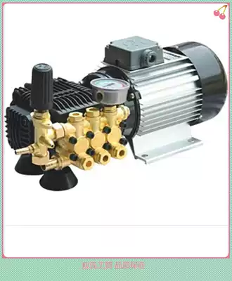 QTZ-310 small flow high pressure pump Three-cylinder piston pump