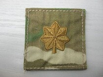 The rank of colonel in the embroidery badges (chameleon)