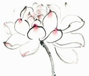 Custom-made hyperlink SF Postage margin Hyperlink Order spread Universal Hyperlink 