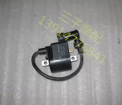 Locomotive parts Jincheng AX100 two-in-one high-voltage bag igniter (Jincheng original factory)
