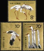 T110 White Crane (good gold powder)