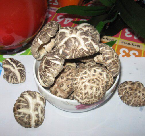 Tongjiang wild flower mushroom dry goods 500g bulk special non-sulfur mushroom dry fragrant high-nutrition mushroom high-quality mushroom