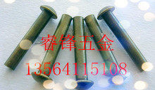 GB867 round head iron rivets 345681012 50 by 50