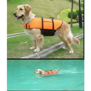 #Pept Olde Dog Swimwear VIP Teddy Pet Costum