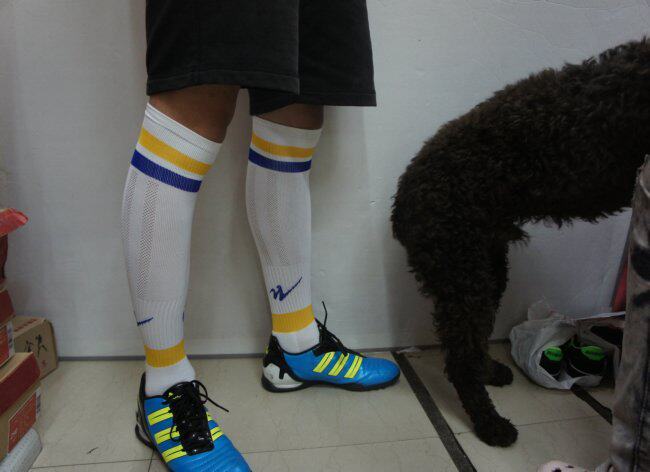 Counter Qingdao Double Star long tube football socks breathable thickened towel bottom sweat-absorbing football socks leg protection board