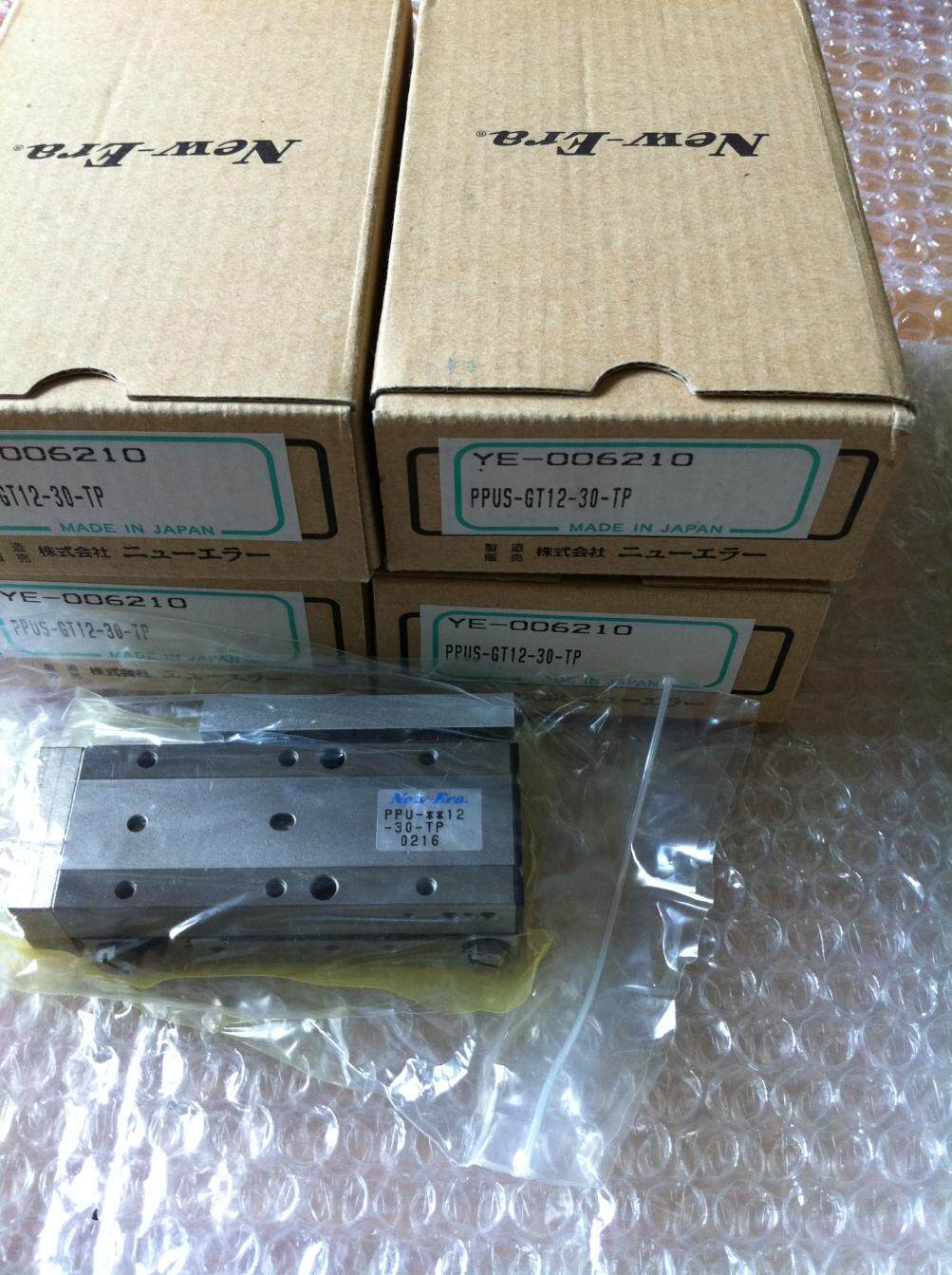 New-era PPUS-GT12-30-TP in the New Era