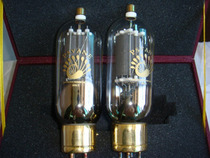 Dawning PSVANE Noble Voice 805-T tube with high voltage cap
