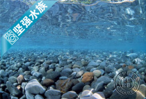 HD double-sided fish tank West Wei SEAVIEW background painting background paper 30CM45CM60CM high river stone picture