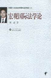 中国十大杰出中青年法学家文丛/宏观国际法学论
