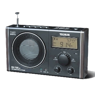 Tecsun/德生 CR-1100DSP FD/Satingling Digital Stereo Radio