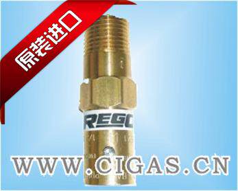 American REGO 9434T safety valve PRV9434 discharge valve low temperature gas safety valve false one penalty ten