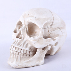 прикол Хэллоуин Хэллоуин поставок бар хоррор