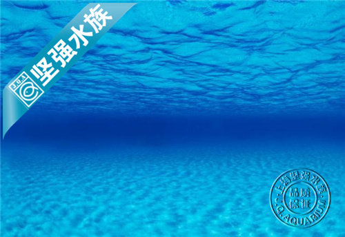 High-definition double-sided fish tank Sivi SEAVIEW hanging painting background paper 30CM45CM60CM high sea view picture