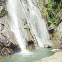 The freight link mono-link