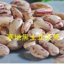 New goods Northeast farm bean milk white flower kidney beans rice beans rice beans whole grains soup boiled porridge coarse grain 500g