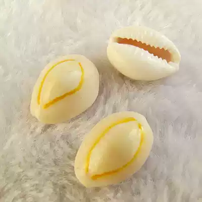 Natural Conch Shell Small Sea Coin 2cm Home Decoration Fish Tank Landscape Creative Couple Birthday Gift