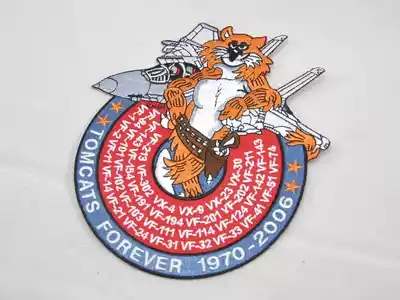 FOREVER the TOMCATS FOREVER U.S. Navy F-14 Fighter Retired Commemorative Badge