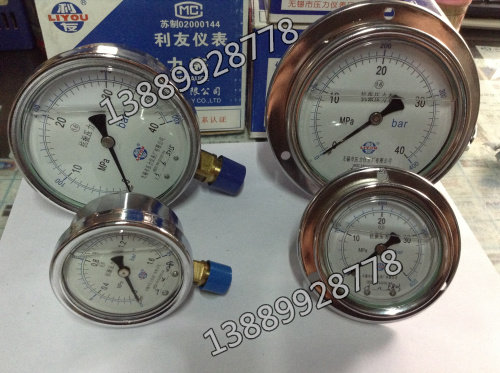 Wuxi Pressure Gauge Wuxi Liyou Instrument YK100I YK100III High Quality Anti-Vibration Pressure Gauge