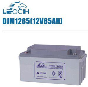 Factory direct LEOCH Leishi DJM1265 12V65AH UPS power DC screen cabinet battery