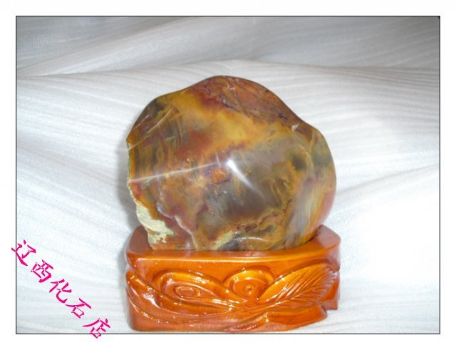 Liaoxi Chaoyang Natural Chinalite Petrofossil Tree Fossil Stone Silicized Wood Precision Wood Fittings 910