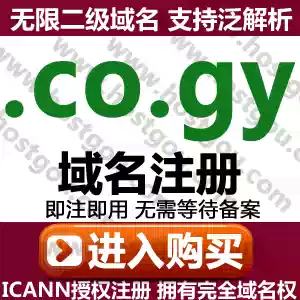 co gy domain name registration supports pan-resolution unlimited second-level domain Mi Guiana can Note 2-digit URL purchase