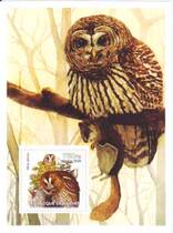 Guinea stamp sheet 2002 Owl 1 New