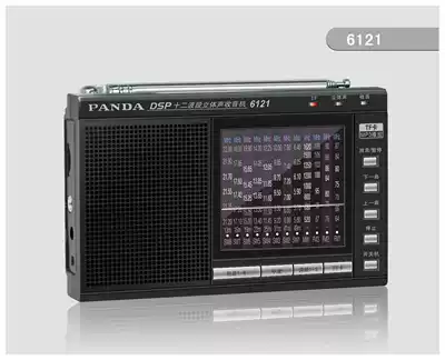 Panda 6121 DSP12 band stereo TV card Radio