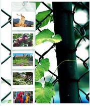 Fuji Polaroid wide W300 210 wide photo paper album 5 inch album one imaging 210 hanging album