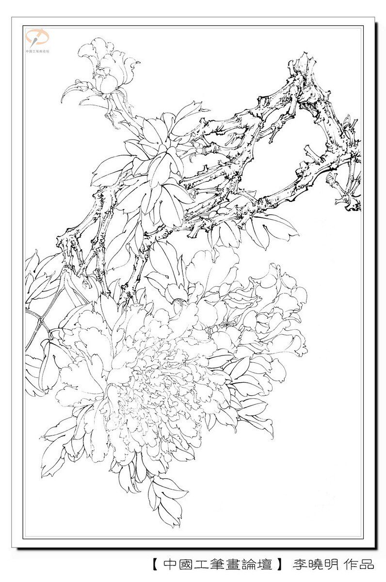 Meticulous Brushwork Draft--Leaning on the Red and Snuggling in the Green