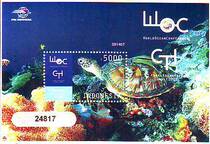 Indonesias small sheet turtle 1 New