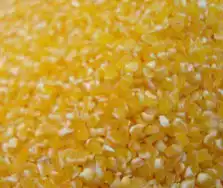 Northeast specialty grains Northeast small grains Northeast small grains Northeast small grains Northeast small grains Northeast small grains Northeast small grains Northeast small grains Northeast small grains Northeast small grains Northeast small grains Northeast small grains Northeast small grains Northeast small grains Northeast small grains Northeast
