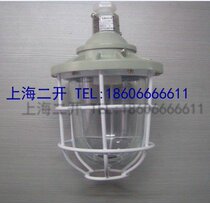 Explosion-proof lamp Anti-explosion lamp BAD51 series Flame-proof explosion-proof lamp BAD51-100 100W