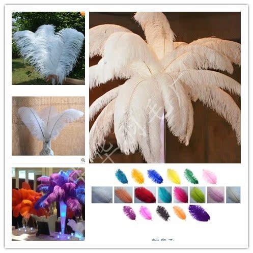 South Africa imported ostrich feathers wedding feather flower selected long ostrich feather white multi-color dyeable spot