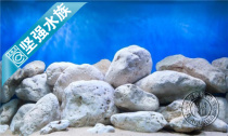 HD double-sided fish tank West Weiwei SEAVIEW background painting background paper 30CM45CM60CM high stone picture