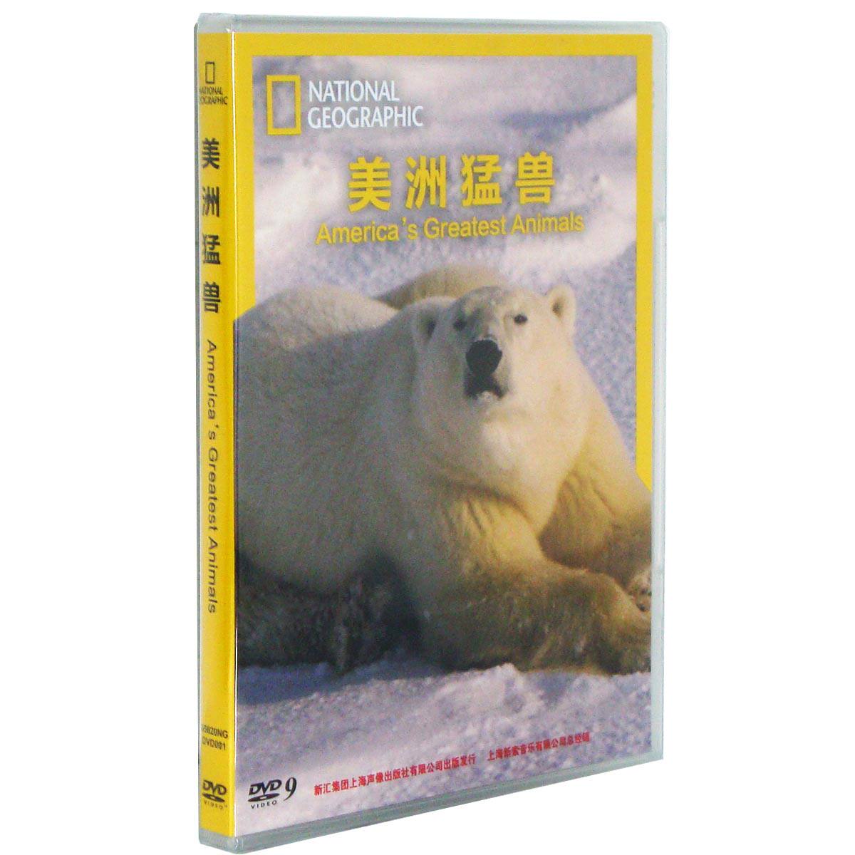 正版纪录片 美洲猛兽 DVD9 高清 光盘 英文发音 中文字幕