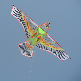 Weifang Hongxiang Kite-Aerial Bully --- the large steel eagle kite wholesale kite