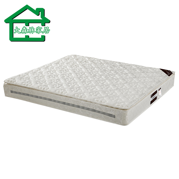 ��ɭ�ּҾ�ϯ��˼����DY����