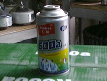 A collection of 600A snow species in the Meadow