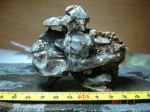 96 Xinjiang Lop Nur Surface Fengling Stone