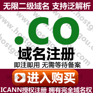  The co-domain name charge supports the pan-resolution unlimited secondary name domain rice Chinese and English company web site purchase of the charge