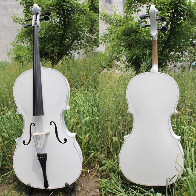 Estée popularizes the choice of white cello paint without fading photographic props