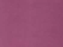 Special price clearing house Dutch EAST importé pur papier peint moderne minimaliste couleur violet papier peint 113337