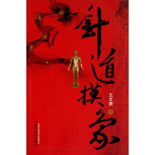 针道摸象 正版保证 王文德 科技9787513203456