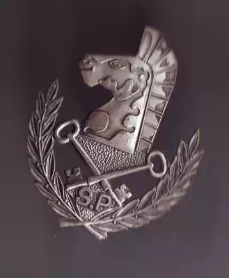 Old badge